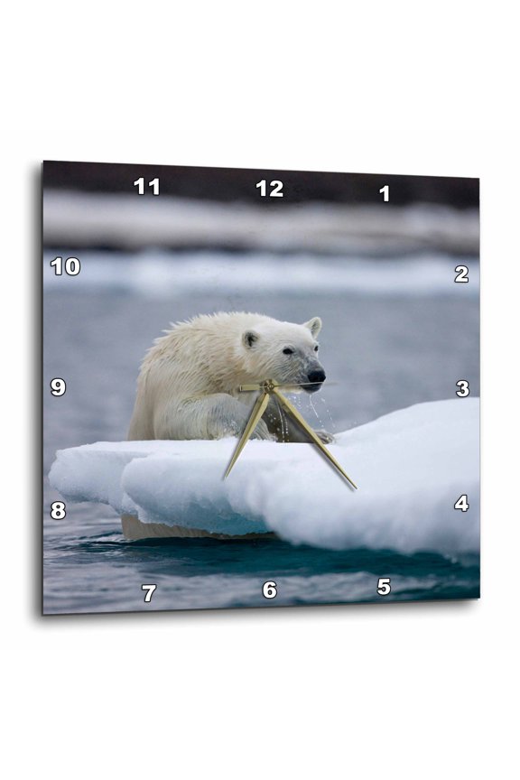 , Norway, Svalbard, Polar Bear Near Half Moon Island - Eu21 Pso0288 - Paul Souders, 15x15 Wall Clock