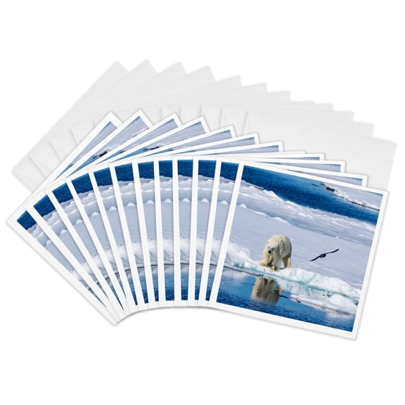 3drose, Norway, Svalbard. Polar Bear on the Pack Ice in the Arctic, 12 Greeting Cards with Envelopes