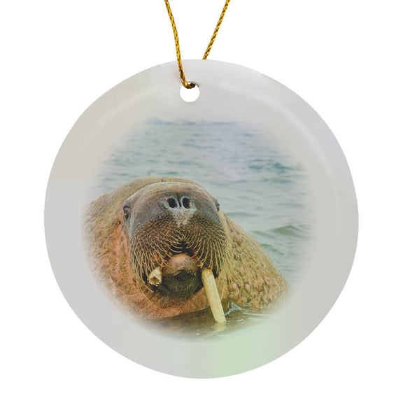 3drose, Norway, Svalbard, Spitsbergen. Walrus with Broken Tusk., Circle Porcelain Ornament