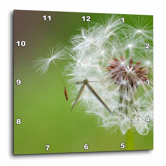 3drose, Ohio, Cincinnati, Dandelion Flora - Us36 Bja0006 - Jaynes Gallery, 10x10 Wall Clock