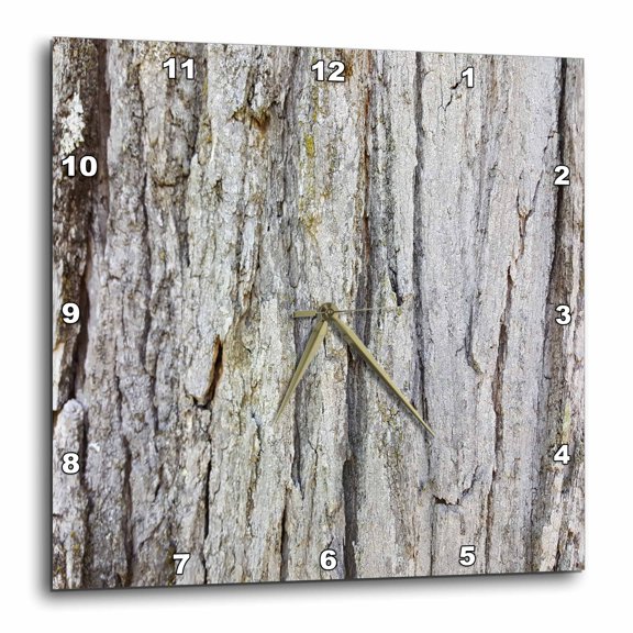 3drose, Old Oak Tree Rough Bark, 10x10 Wall Clock