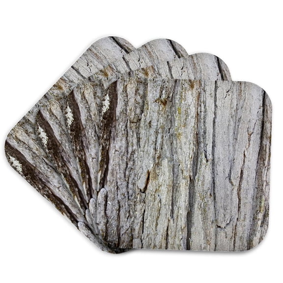3drose, Old Oak Tree Rough Bark, Set of 4 Coasters - Soft