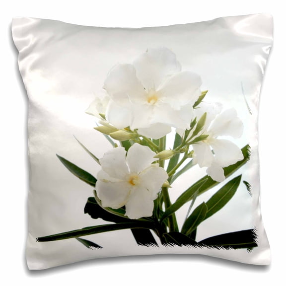 3drose, Oleander White - White, Flower, Tree, Oleander, Blossom, Tropical Plant, Buds, 16x16 inch Pillow Case