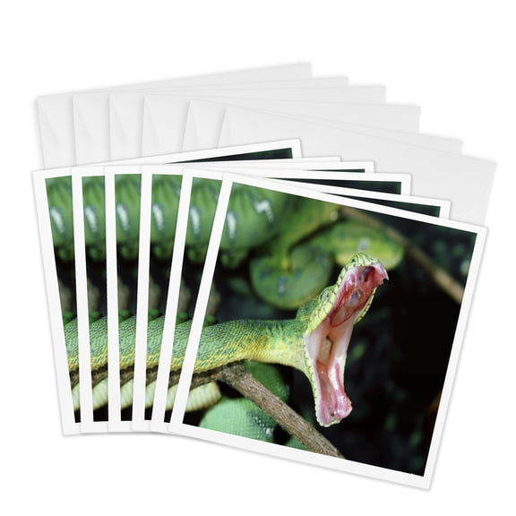 3drose, Open Fangs of a Boa, 6 Greeting Cards with Envelopes