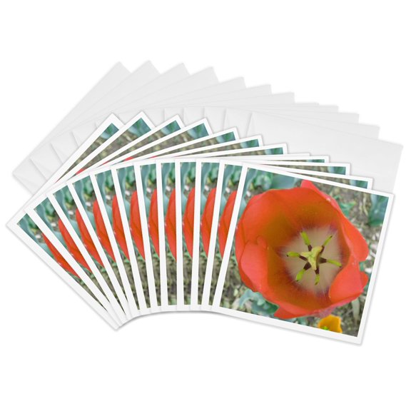 3drose, Orange Flower, 12 Greeting Cards with Envelopes