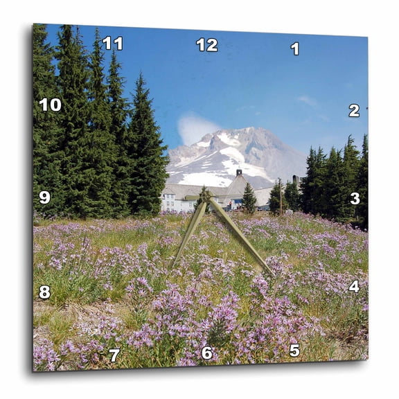 3drose, Oregon, Mt. Hood. Timberline Lodge, Mt. Hood - Us38 Lse0002 - Lynn Seldon, 15x15 Wall Clock