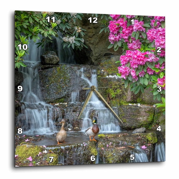 3drose, Oregon, Portland, Mallard Ducks Pair on Rocks Next to Waterfall., 15x15 Wall Clock