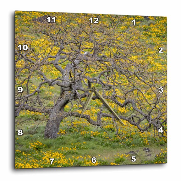 3drose, Oregon, Tom Mccall Conservancy. Meadow with Wildflowers and Oak Tree., 15x15 Wall Clock