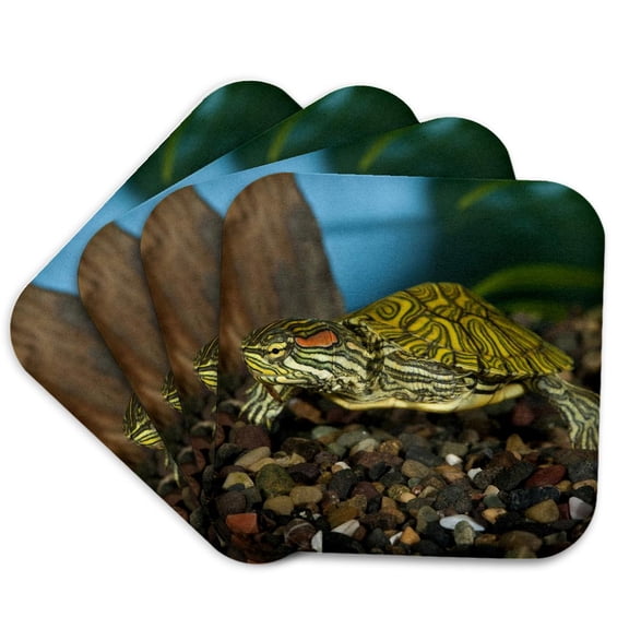 3drose, Ornate Red Ear Slider Turtle - Na02 Dno0772 - David Northcott, Set of 4 Coasters - Soft