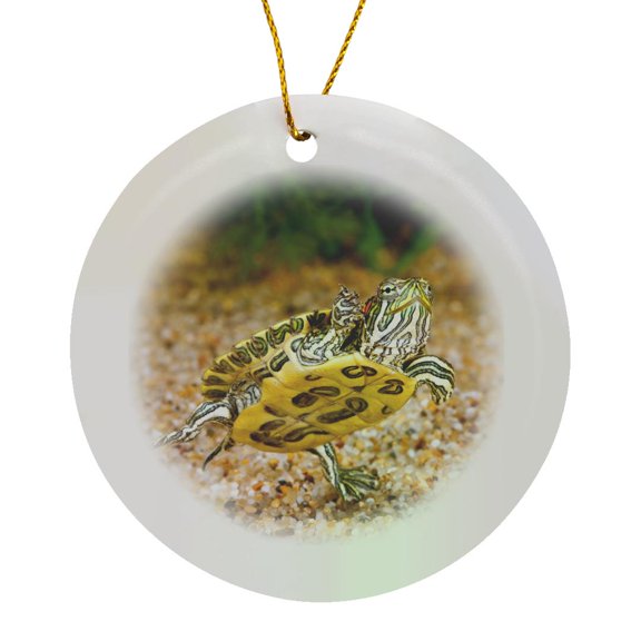 3drose, Ornate Red Ear Turtle, Native to Southern Us - Na02 Dno0868 - David Northcott, Circle Porcelain Ornament
