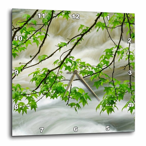 3drose, Overhanging Maple Tree, Middle Prong, Great Smoky Mountains, Tennessee, 10x10 Wall Clock