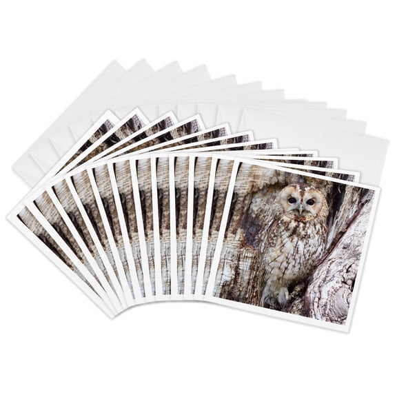 3drose, Owl. Wild Life., 12 Greeting Cards with Envelopes