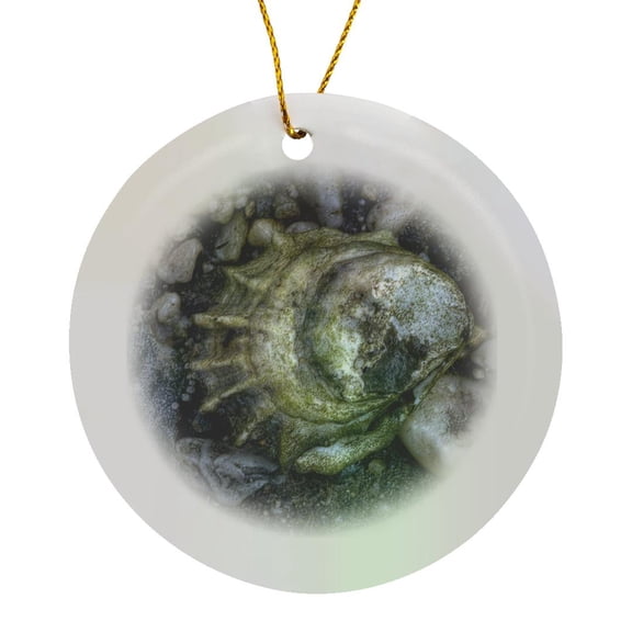 3drose, Oyster Shell, Close Up, Circle Porcelain Ornament