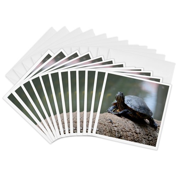 3drose, Painted Turtle on Log in Florida, 12 Greeting Cards with Envelopes