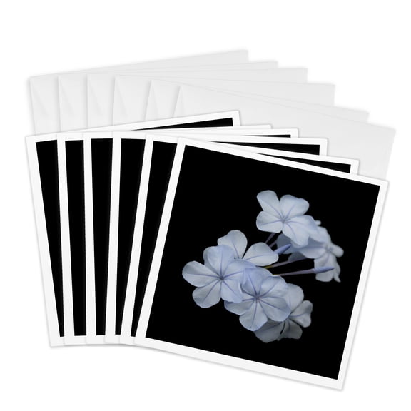 3drose, Pale Blue Plumbago Isolated on Black Background, 6 Greeting Cards with Envelopes