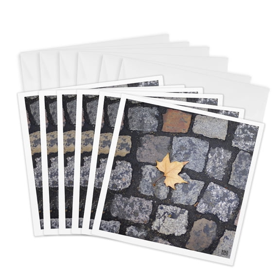 3drose, Paris France, Tree Leafs on the Floor, 6 Greeting Cards with Envelopes