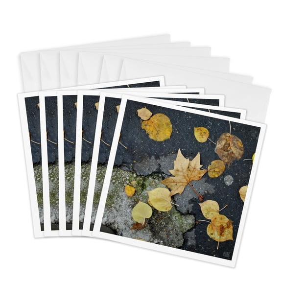 3drose, Paris France, Tree Leafs on the Floor, 6 Greeting Cards with Envelopes