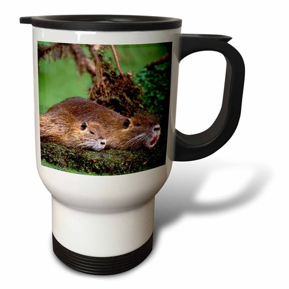 3drose, Paul Rainey Wildlife Sanctuary, Nutria Wildlife - Us19 Bja0004 - Jaynes Gallery, 14oz Stainless Steel Travel Mug