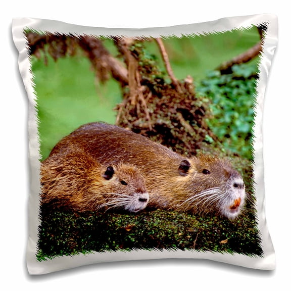 3drose, Paul Rainey Wildlife Sanctuary, Nutria Wildlife - Us19 Bja0004 - Jaynes Gallery, 16x16 inch Pillow Case