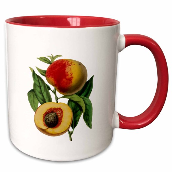 3drose, Peach Fruit Botanical Vector Illustration, 11oz Two-tone Red Mug