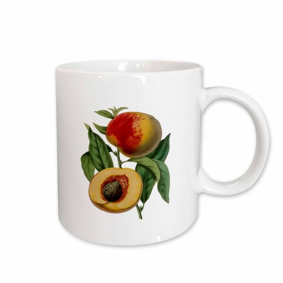 3drose, Peach Fruit Botanical Vector Illustration, 15oz Mug