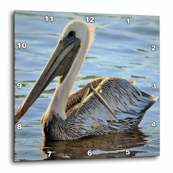 3drose, Pelican Swimming in the Gulf, 13x13 Wall Clock