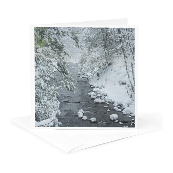 3drose, Pennsylvania, Delaware Water Gap. Snow-covered Forest in Winter., 1 Greeting Card with Envelope