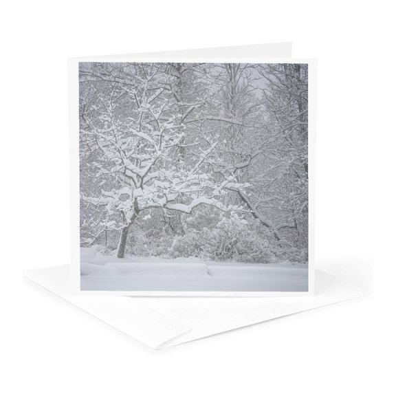 3drose, Pennsylvania, Delaware Water Gap. Winter Trees Reflect in Water., 1 Greeting Card with Envelope