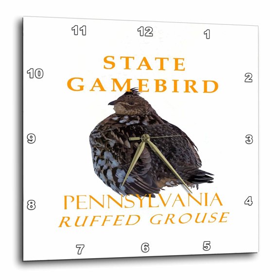 3drose, Pennsylvania Territory Game Bird Ruffed Grouse, 15x15 Wall Clock