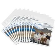 3drose, Peru. Feliz Viaje. Wool Llamas, Souvenir Market - Sa17 Mde0123 - Michael Defreitas, 12 Greeting Cards with Envelopes