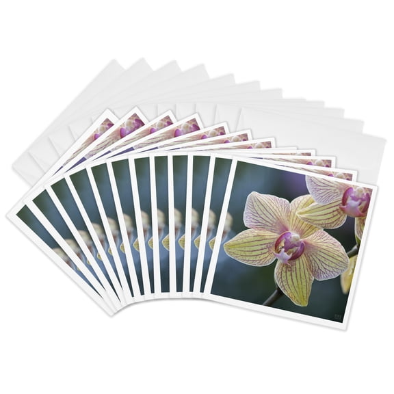 3drose, Phlaenopsis Moth Is a Vibrant Garden Orchid in Which Is a Tropical Plant and Bouquet When Blossom, 12 Greeting Cards with Envelopes