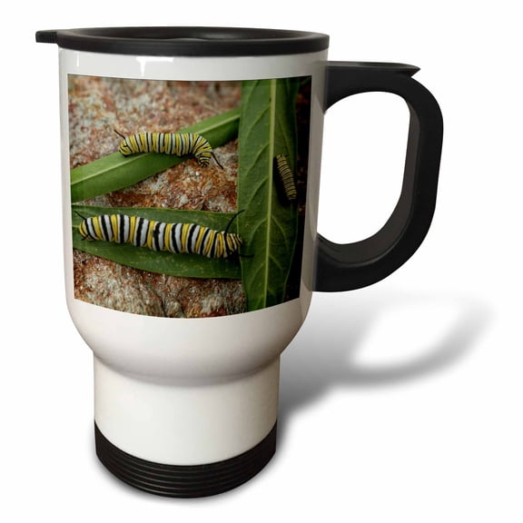 3drose, Photo of Different Stages of Monarch Caterpillars on Milkweed Leaves., 14oz Stainless Steel Travel Mug