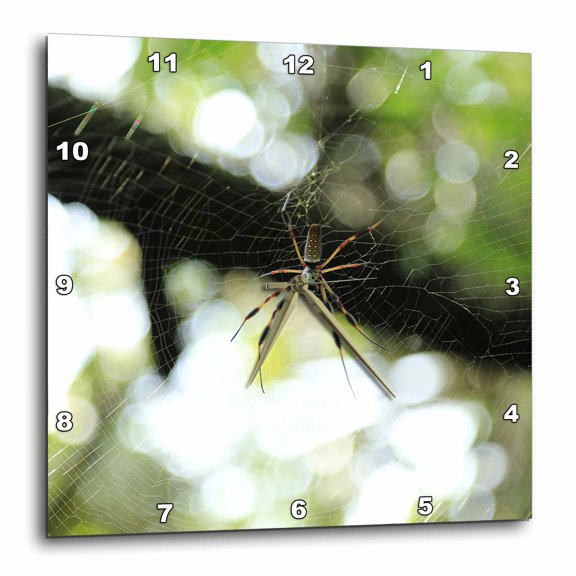 3drose, Photograph of Golden Silk Orb Weaver Hanging Out in Its Intricate Web., 10x10 Wall Clock