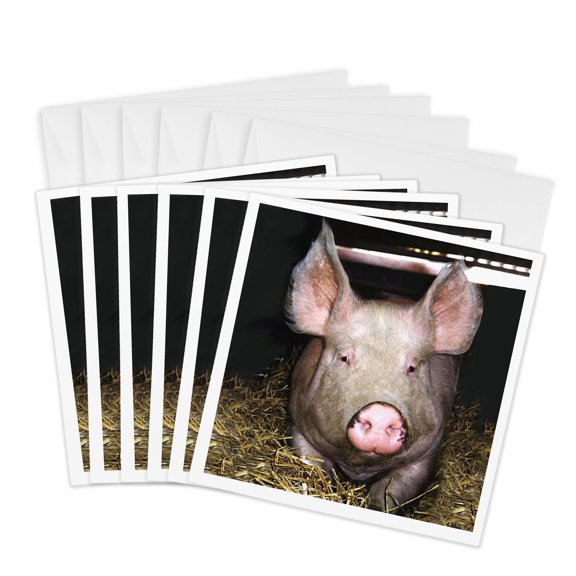 3drose, Pig, 6 Greeting Cards with Envelopes