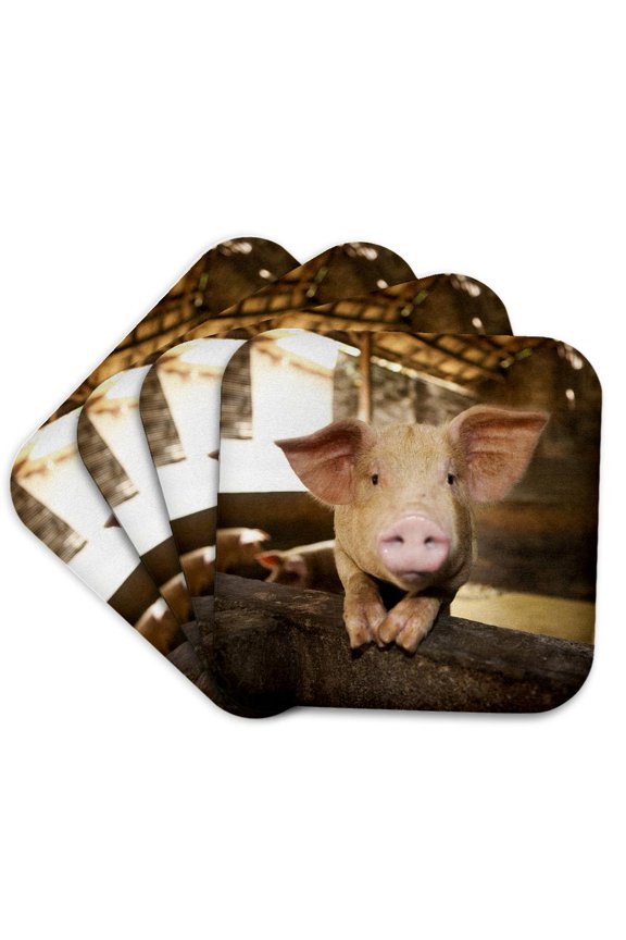 , Pig Farm, Bali, Indonesia-as11 Mwr0021 - Micah Wright, Set of 4 Coasters - Soft