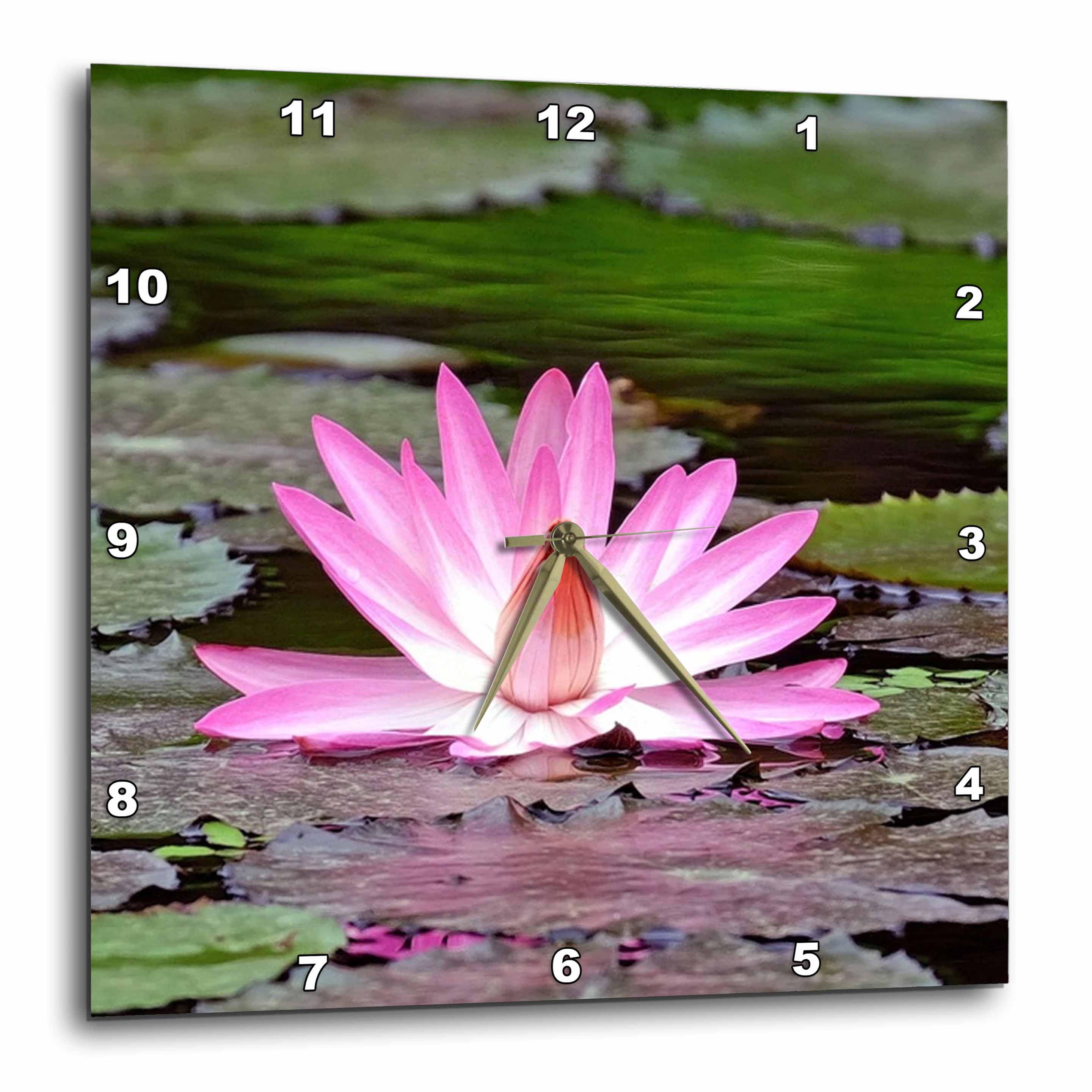 3drose, Pink Asia Lotus Flower Buddha Symbol, 1…