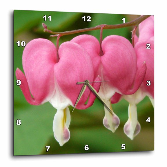 3drose, Pink Bleeding Heart Flowers - Floral Photography, 15x15 Wall Clock