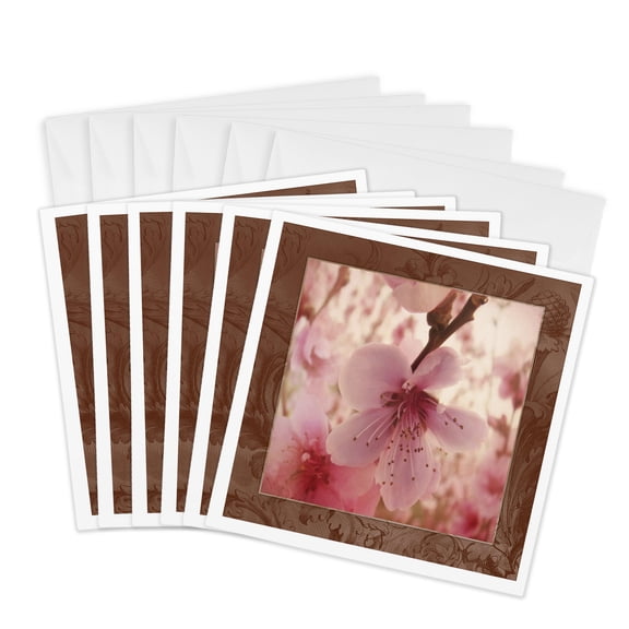 3drose, Pink Bloom, 6 Greeting Cards with Envelopes