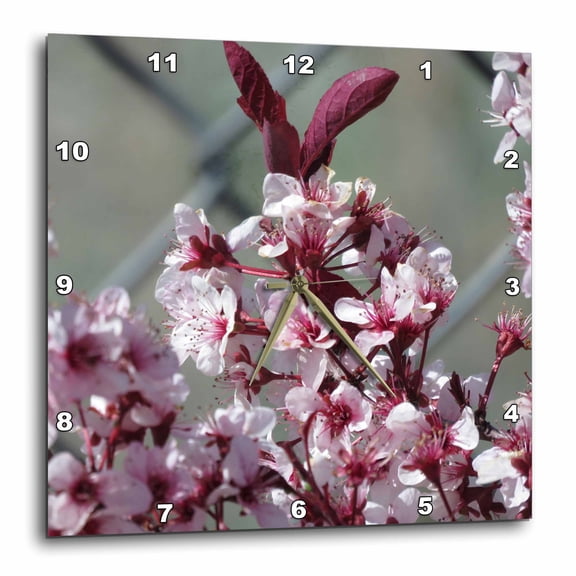 3drose, Pink and Maroon Flowers Bursting Out on a Springtime Tree, 15x15 Wall Clock