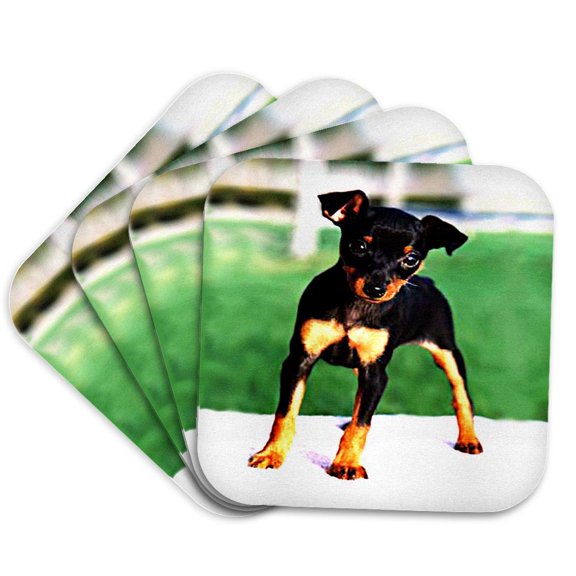 3drose, Pinscher Puppy, Set of 4 Coasters - Cork