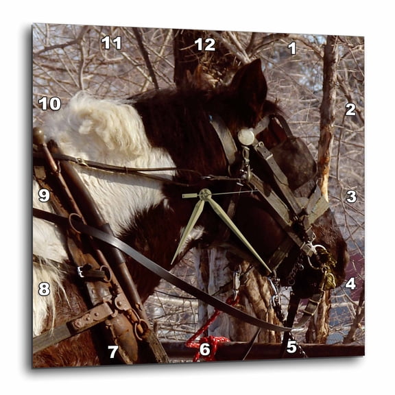 3drose, Pinto Draft Horse in Kalona, Iowa by Angelandspot, 15x15 Wall Clock