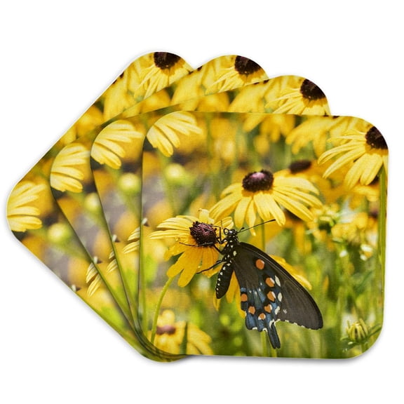 3drose, Pipevine Swallowtail on Black-eyed Susans. Marion County, Illinois., Set of 4 Coasters - Soft