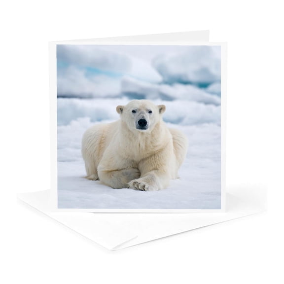3drose, Polar Bear Relaxing on the Summer Pack Ice., 1 Greeting Card with Envelope