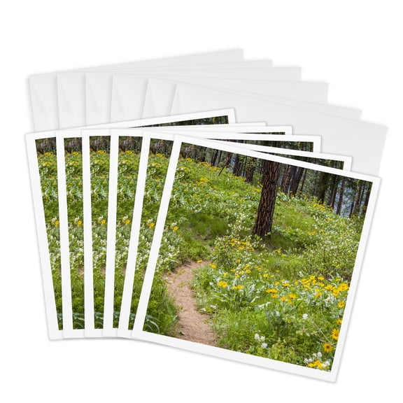 3drose, Ponderosa Pine Trees and Arrowleaf Balsamroot in the Forest., 6 Greeting Cards with Envelopes