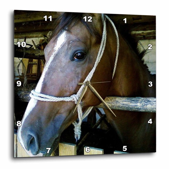 3drose, Portait of Arabian Horse, 10x10 Wall Clock