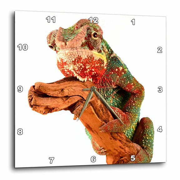 3drose, Portrait of Lizard Reptile Leguan Exotic Animal, 15x15 Wall Clock