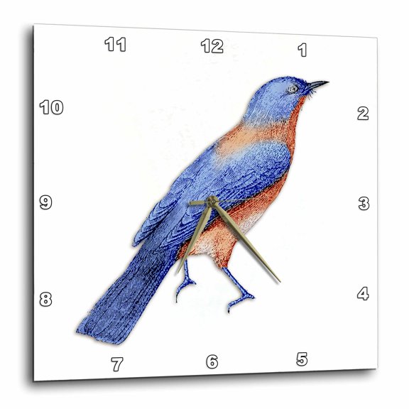 3drose, Pretty Blue Bird with Red Breast Illustration, 15x15 Wall Clock