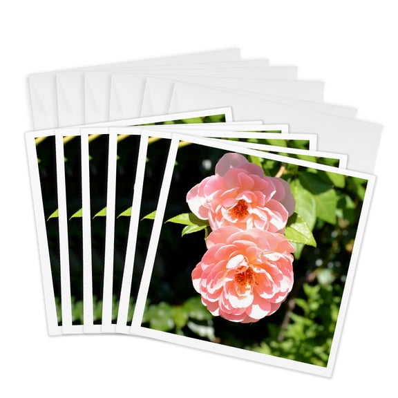3drose, Pretty Light Pink Roses Flowers Romantic, 6 Greeting Cards with Envelopes