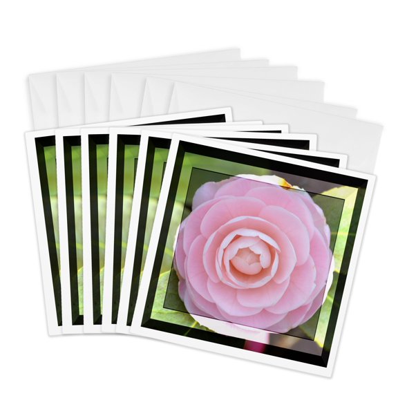 3drose, Pretty Rose- Romantic Flowers- Pink Floral Photography, 6 Greeting Cards with Envelopes