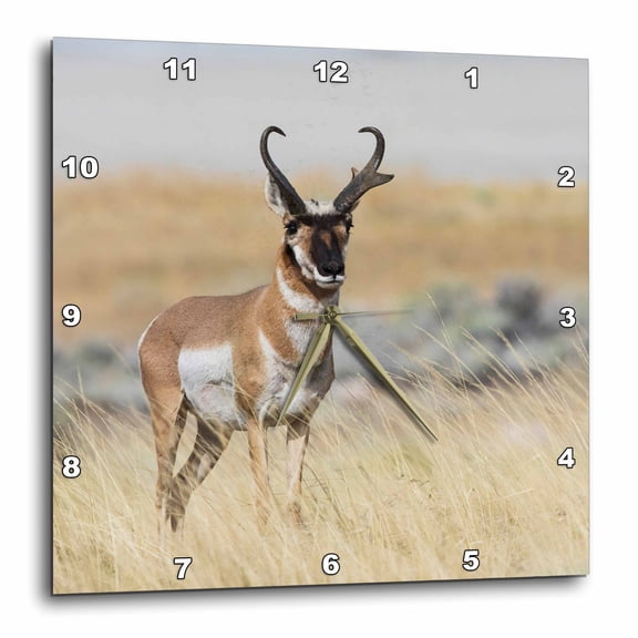 3drose, Pronghorn Antelope Buck, 15x15 Wall Clock